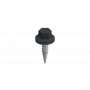 Sunbeam mounting screw black