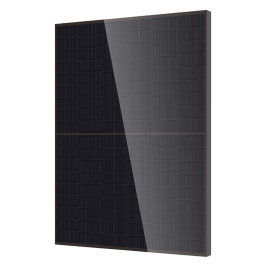 hide MEMBARIS / Black Plasma ＋4枚 0924_Black_1200x.png?v=1718836967